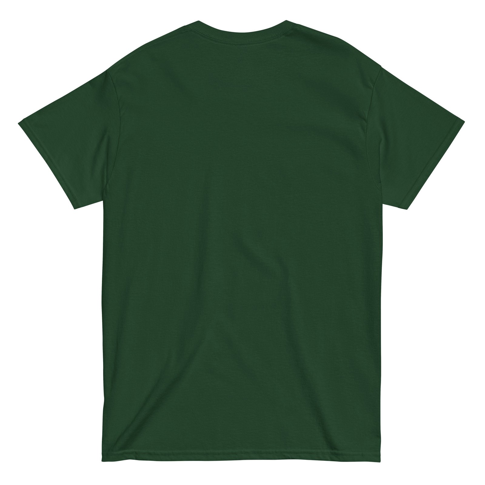 Go Birds. Unisex classic tee - Image 4