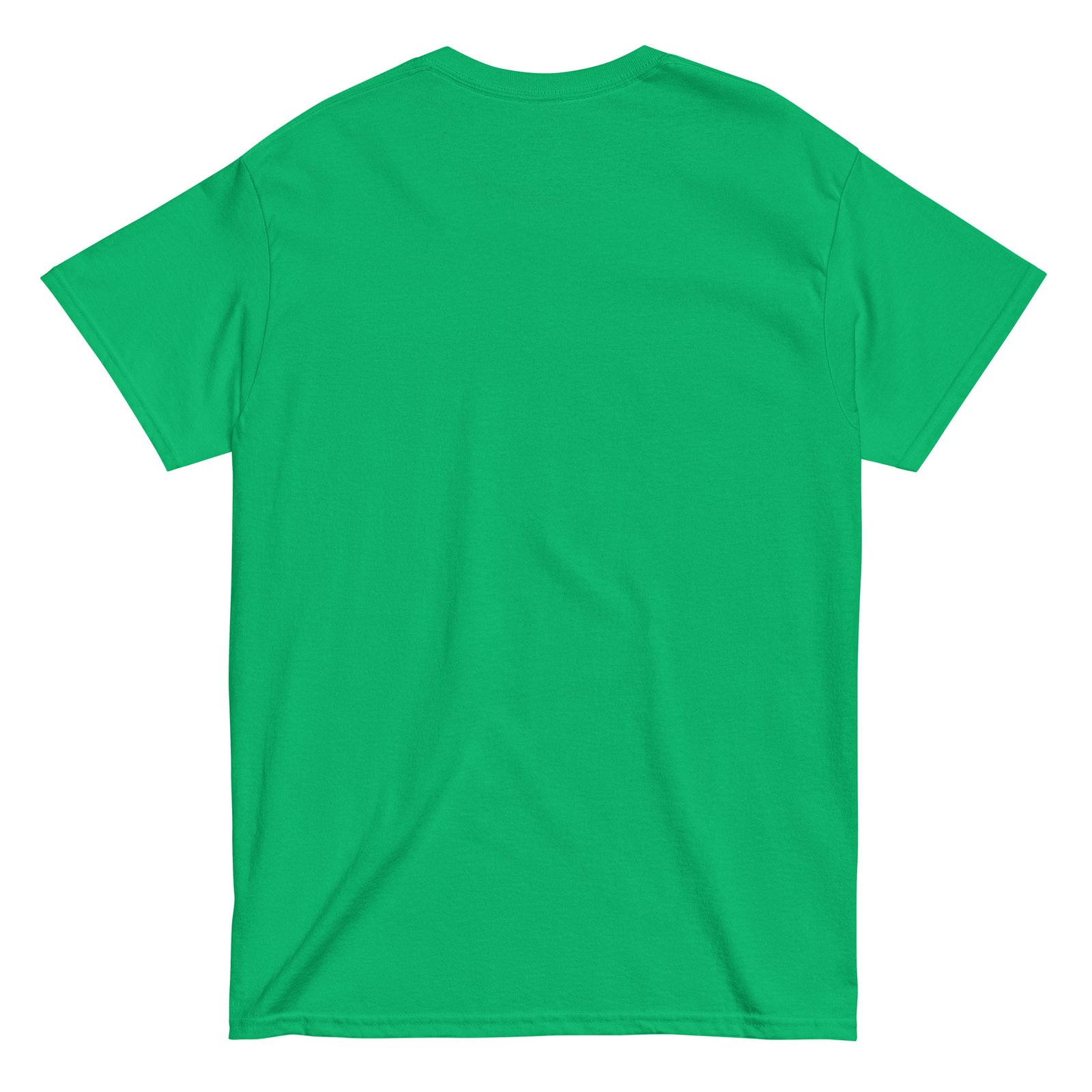 Go Birds. Unisex classic tee - Image 14