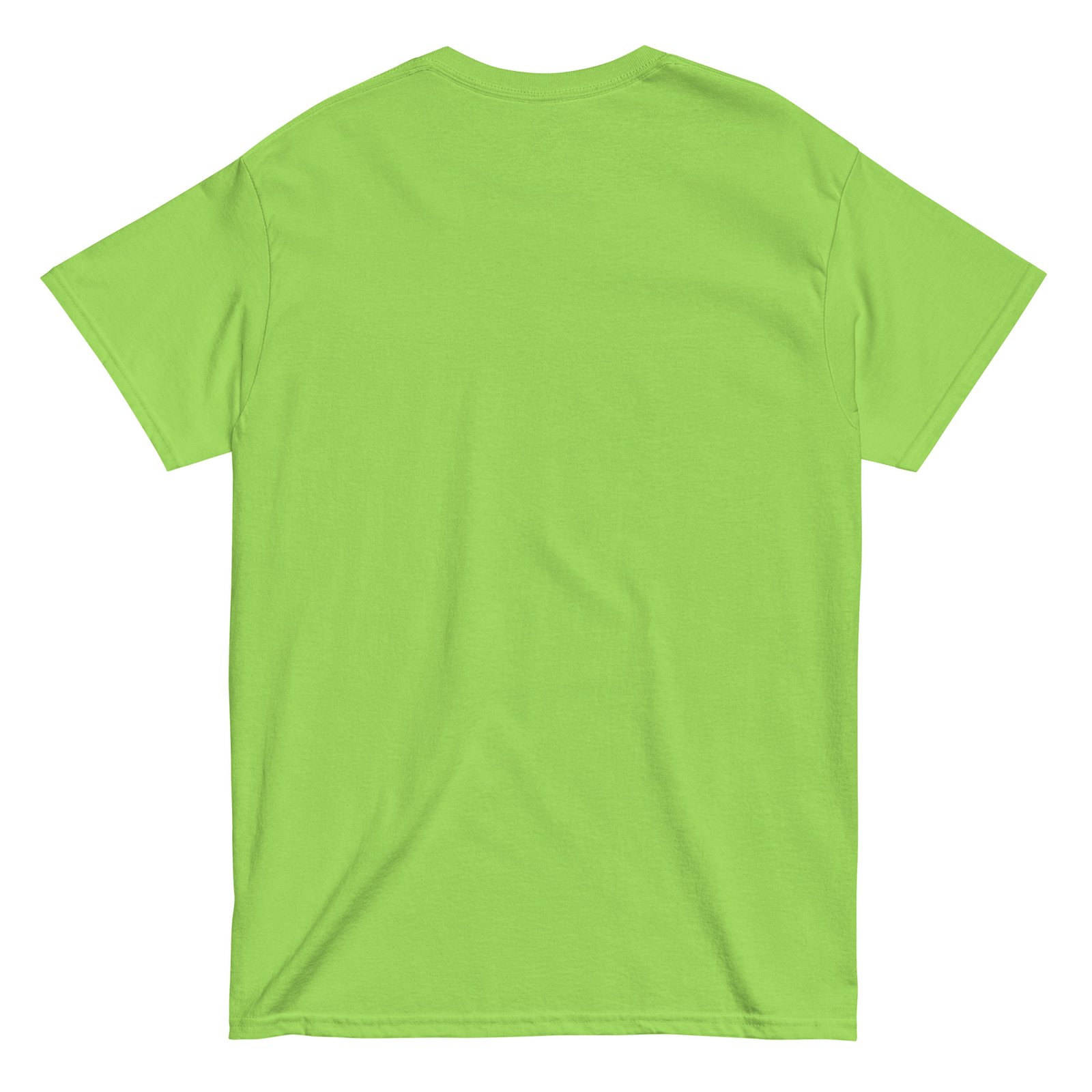 Go Birds. Unisex classic tee - Image 18