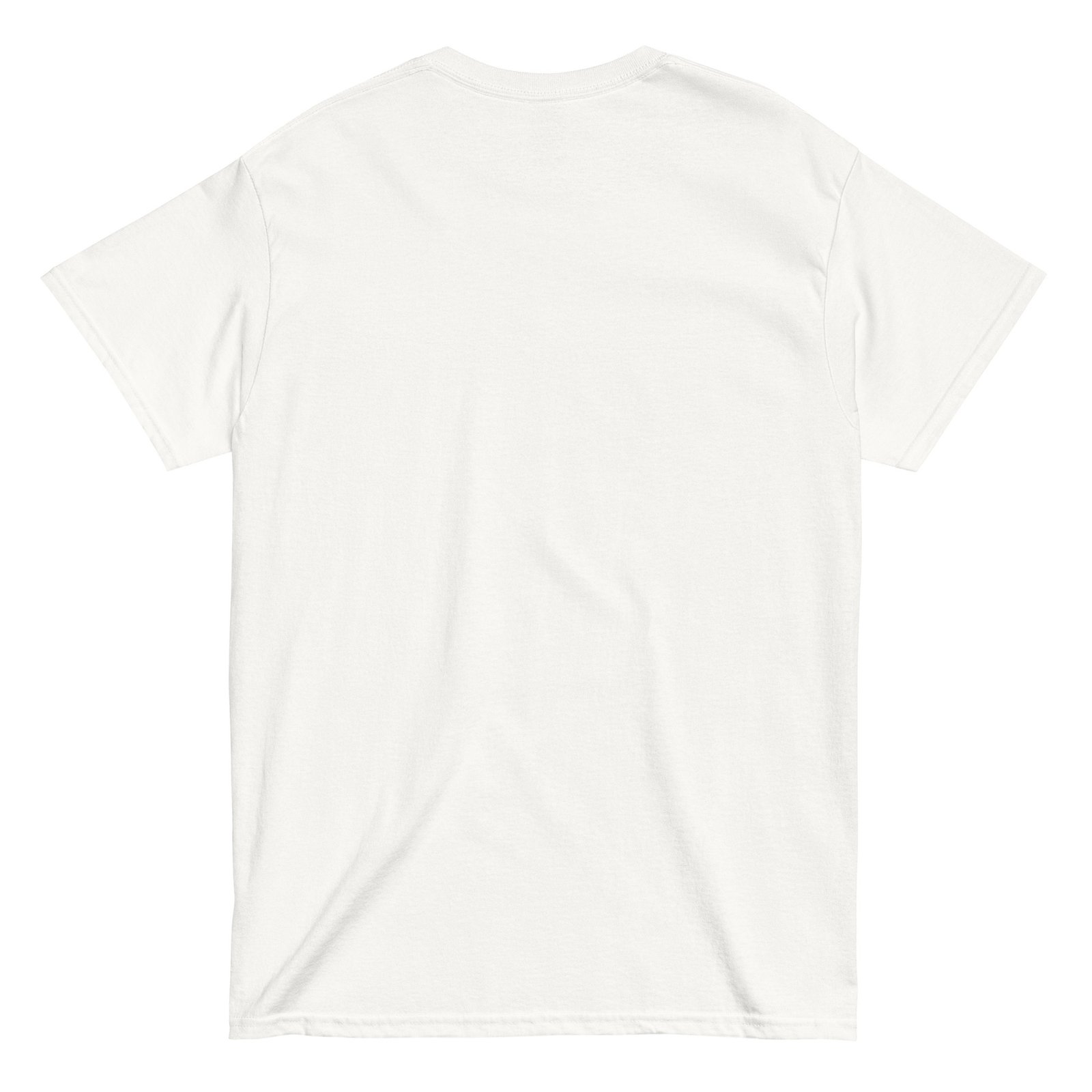 Go Birds. Unisex classic tee - Image 20